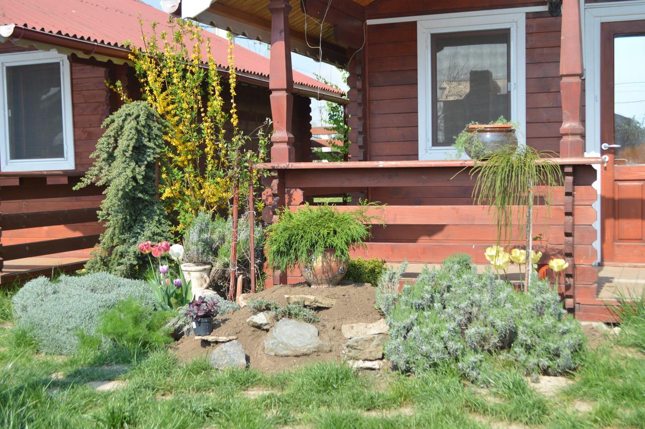 Cabane de lemn Costinesti Exterior foto