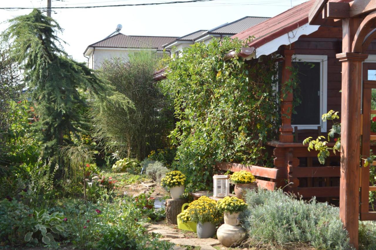 Cabane de lemn Costinesti Exterior foto