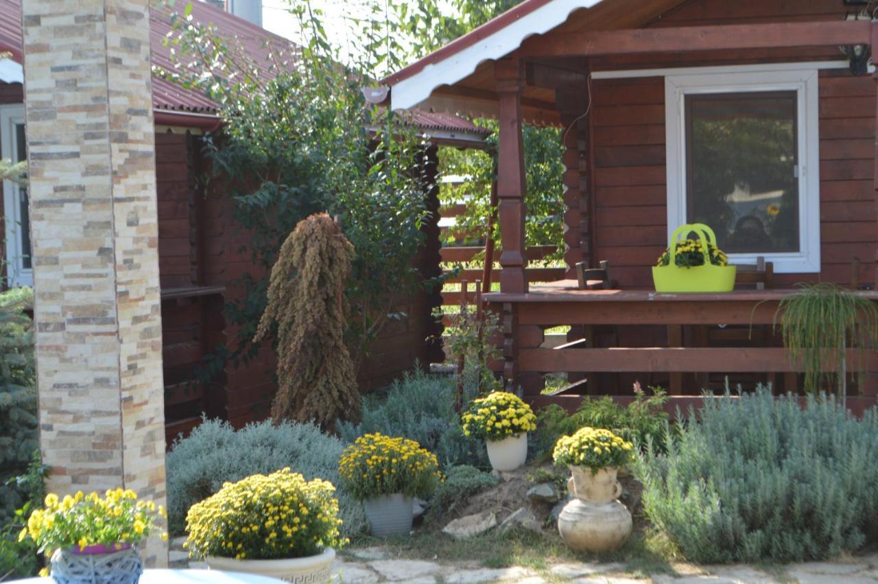 Cabane de lemn Costinesti Exterior foto