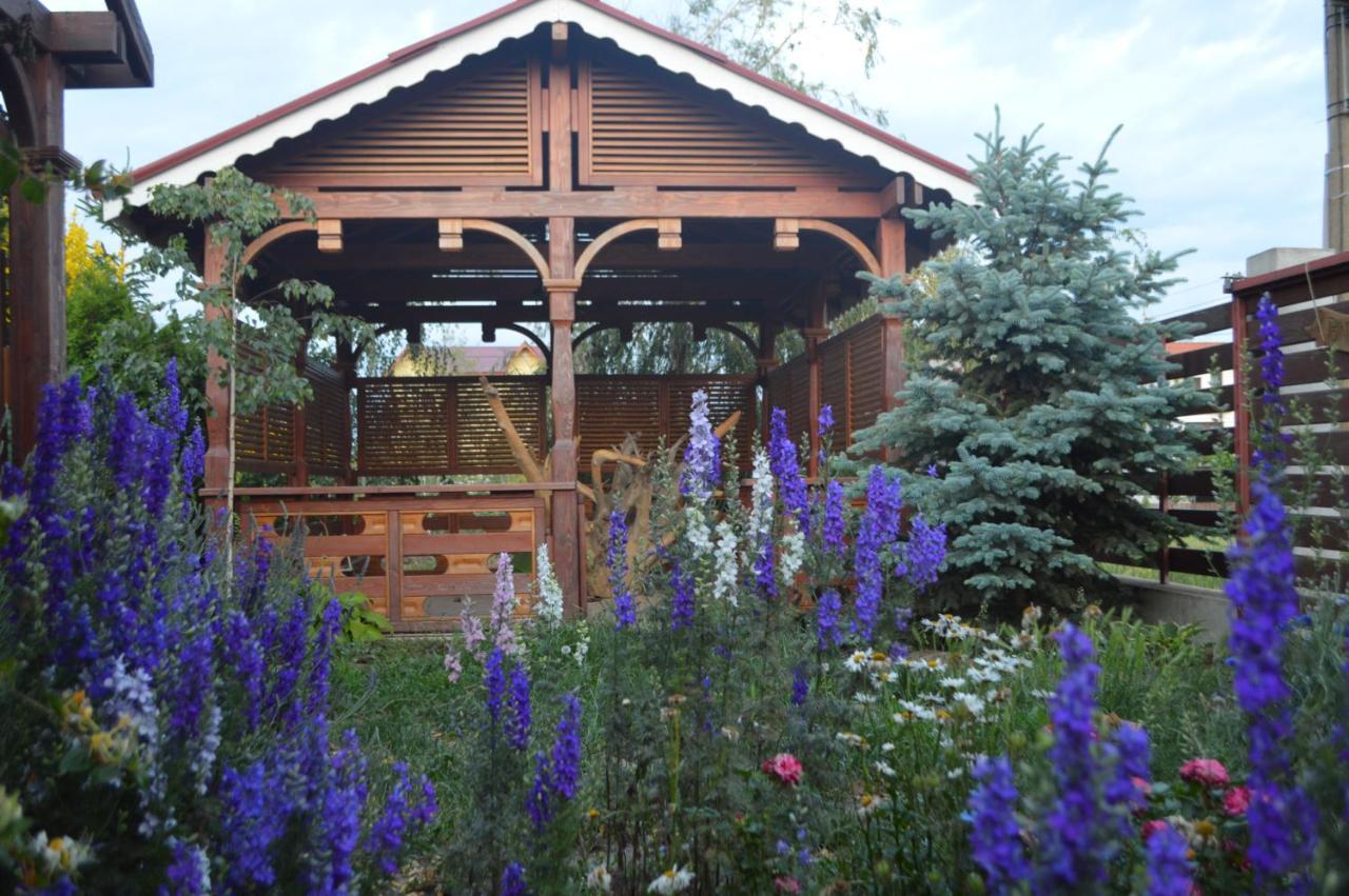 Cabane de lemn Costinesti Exterior foto