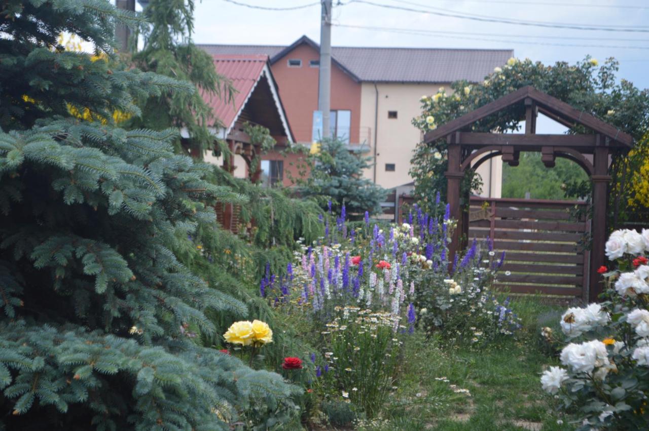 Cabane de lemn Costinesti Exterior foto