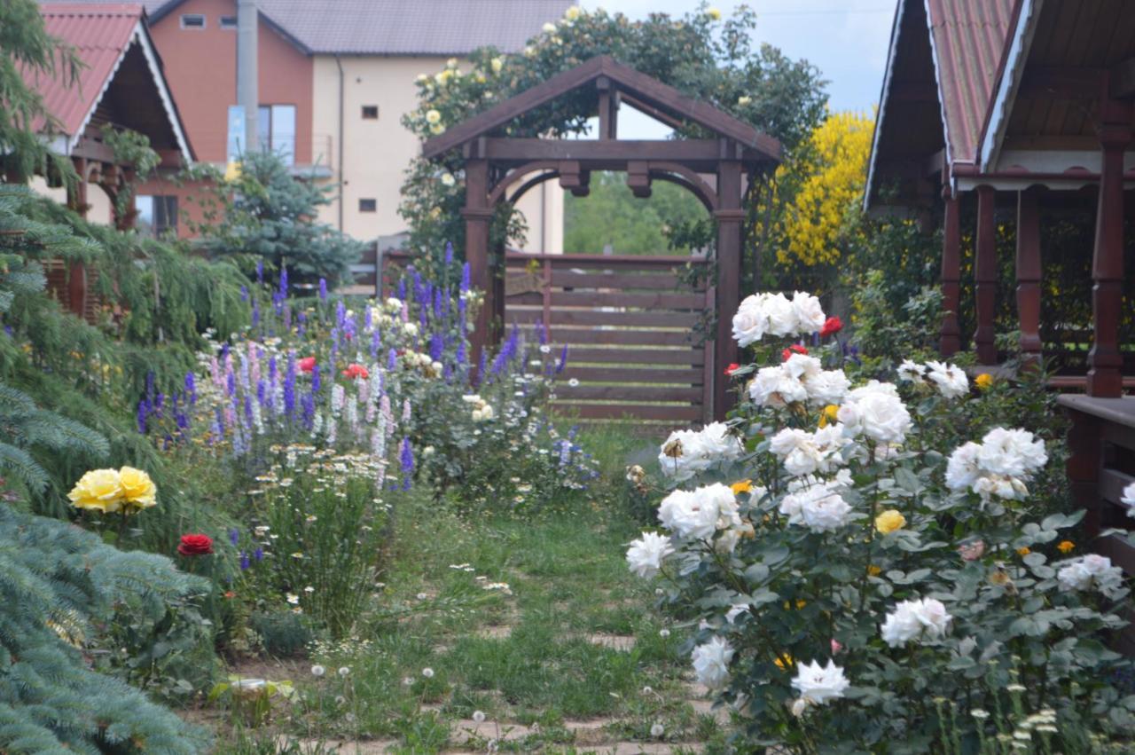 Cabane de lemn Costinesti Exterior foto