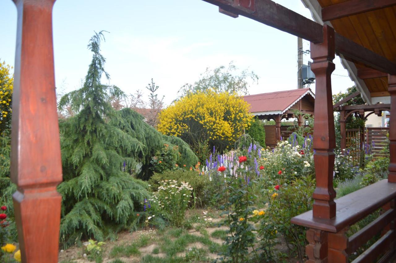 Cabane de lemn Costinesti Exterior foto