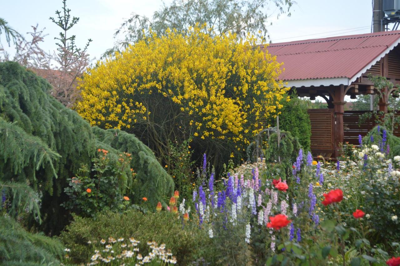 Cabane de lemn Costinesti Exterior foto