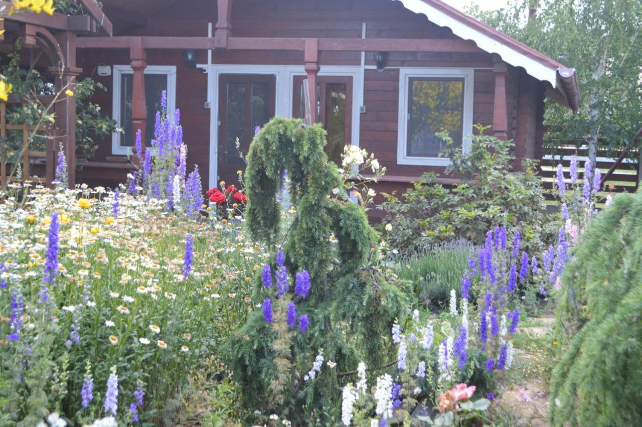 Cabane de lemn Costinesti Exterior foto